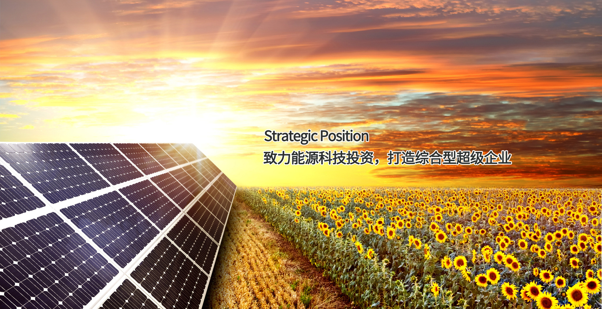俄罗斯·专享会294VIP(中国区)官方网站